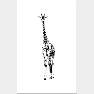 Giraffe pop art Posters and Art